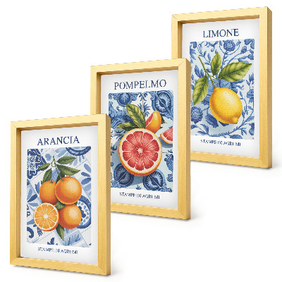 Gallery wall Vintage illustraties van citrusvruchten