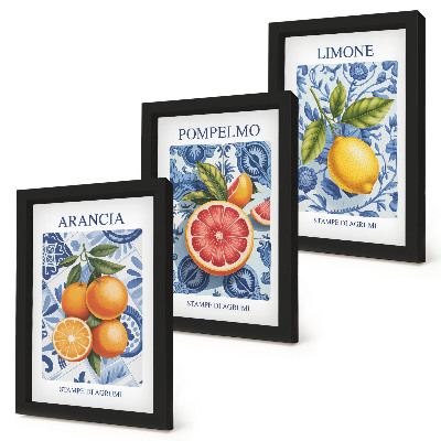 Gallery wall Vintage illustraties van citrusvruchten