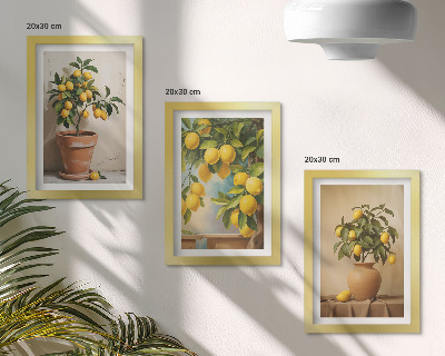 Gallery wall Citroenbomen in potten en vazen
