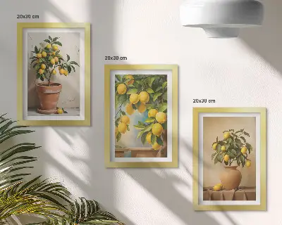 Citroenbomen in potten en vazen