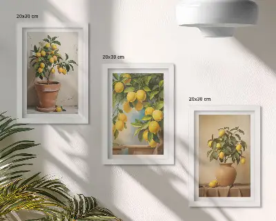 Citroenbomen in potten en vazen