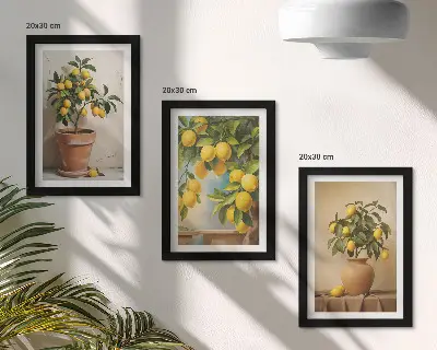 Citroenbomen in potten en vazen