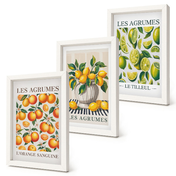 Set van ingelijste schilderijen Citrusvruchten in diverse kleurrijke en verse varianten