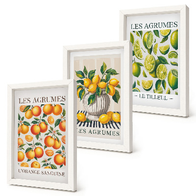 Set van ingelijste schilderijen Citrusvruchten in diverse kleurrijke en verse varianten