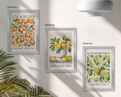 Set van ingelijste schilderijen Citrusvruchten in diverse kleurrijke en verse varianten