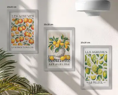 Set van ingelijste schilderijen met citrusvruchten in diverse kleurrijke en verse varianten