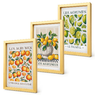 Set van ingelijste schilderijen Citrusvruchten in diverse kleurrijke en verse varianten