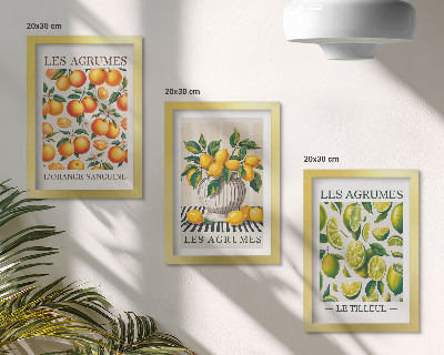 Set van ingelijste schilderijen Citrusvruchten in diverse kleurrijke en verse varianten
