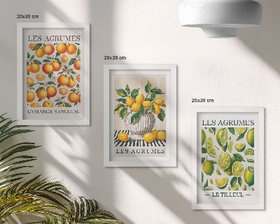 Set van ingelijste schilderijen Citrusvruchten in diverse kleurrijke en verse varianten