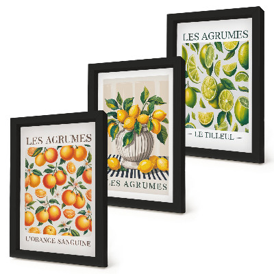 Set van ingelijste schilderijen Citrusvruchten in diverse kleurrijke en verse varianten