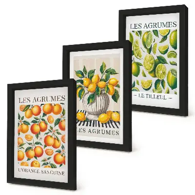 Set van ingelijste schilderijen met citrusvruchten in diverse kleurrijke en verse varianten