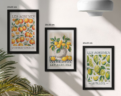 Set van ingelijste schilderijen Citrusvruchten in diverse kleurrijke en verse varianten