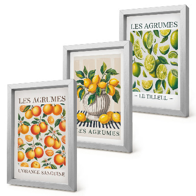 Set van ingelijste schilderijen Citrusvruchten in diverse kleurrijke en verse varianten