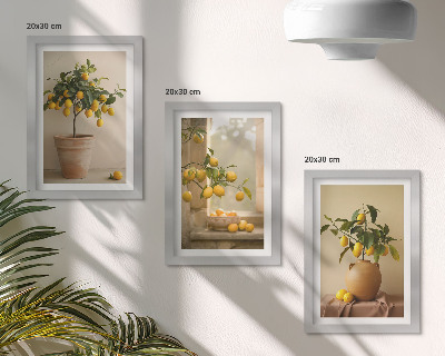 Gallery wall Citroenbomen in potten en op de vensterbank
