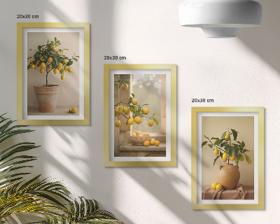 Gallery wall Citroenbomen in potten en op de vensterbank