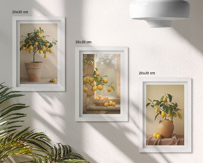 Gallery wall Citroenbomen in potten en op de vensterbank