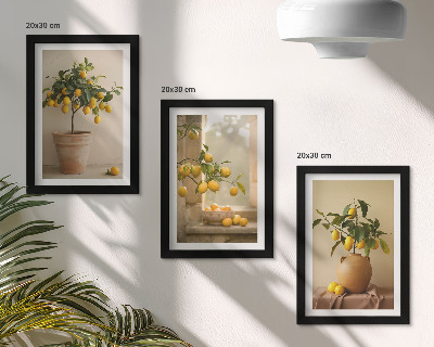 Gallery wall Citroenbomen in potten en op de vensterbank