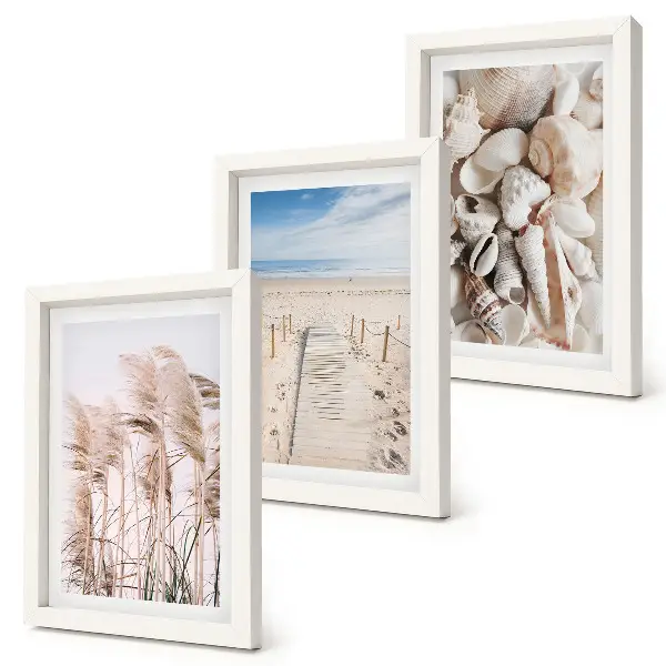 Gallery wall met zandstrand, schelpen en zeegras