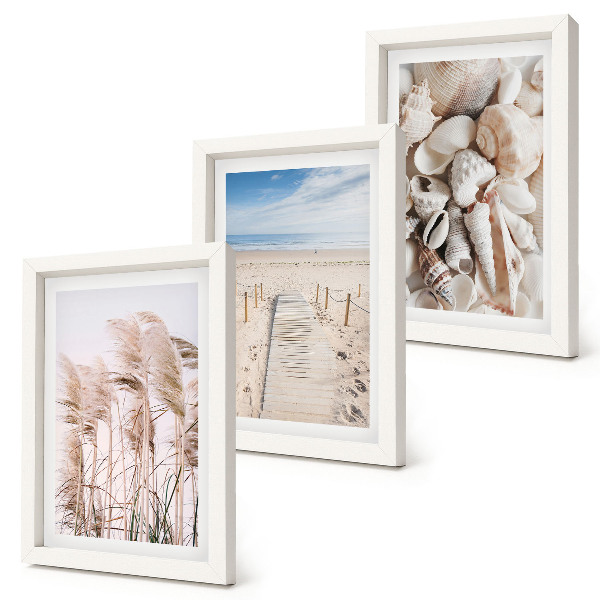 Gallery wall Zandstrand met schelpen en zeegras
