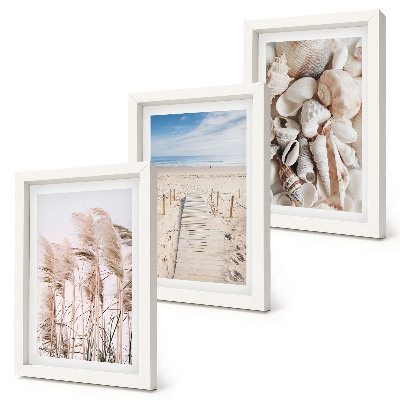Gallery wall Zandstrand met schelpen en zeegras
