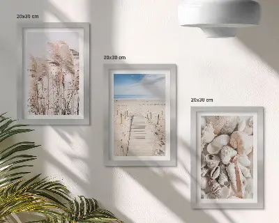 Gallery wall met zandstrand, schelpen en zeegras