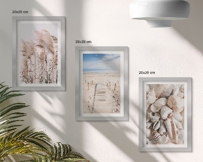 Gallery wall Zandstrand met schelpen en zeegras