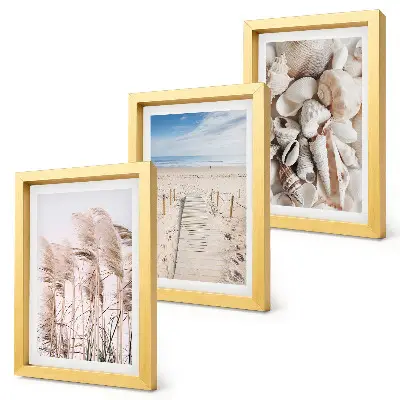 Gallery wall met zandstrand, schelpen en zeegras