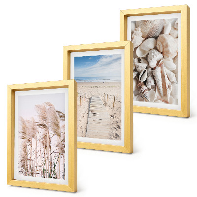 Gallery wall Zandstrand met schelpen en zeegras