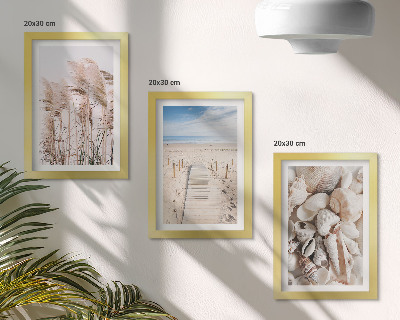 Gallery wall Zandstrand met schelpen en zeegras