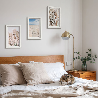 Gallery wall Zandstrand met schelpen en zeegras