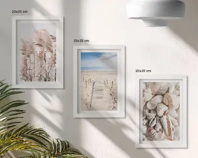 Gallery wall met zandstrand, schelpen en zeegras