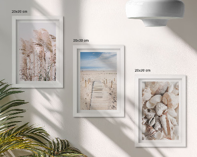 Gallery wall Zandstrand met schelpen en zeegras