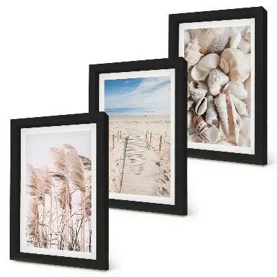 Gallery wall met zandstrand, schelpen en zeegras
