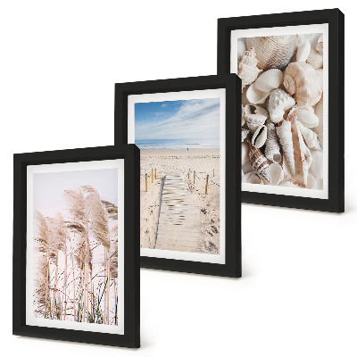 Gallery wall Zandstrand met schelpen en zeegras