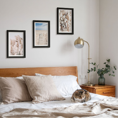 Gallery wall Zandstrand met schelpen en zeegras
