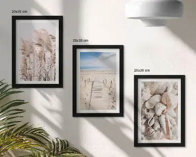 Gallery wall met zandstrand, schelpen en zeegras