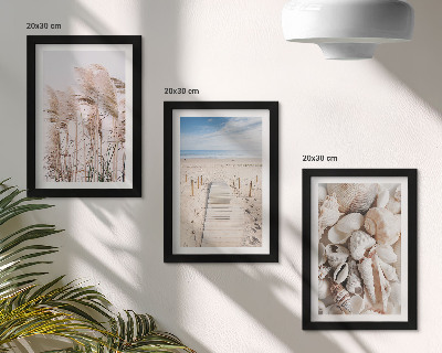 Gallery wall Zandstrand met schelpen en zeegras