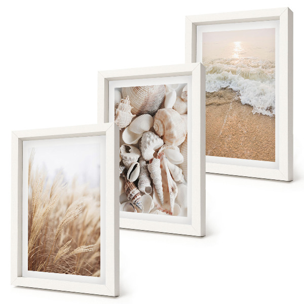 Gallery wall Strandmotieven met schelpen en zeegolven