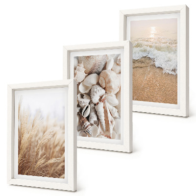 Gallery wall Strandmotieven met schelpen en zeegolven