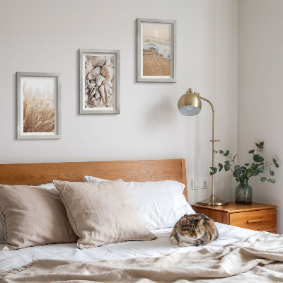 Gallery wall Strandmotieven met schelpen en zeegolven