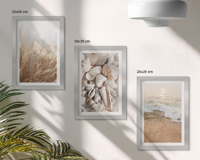 Gallery wall Strandmotieven met schelpen en zeegolven
