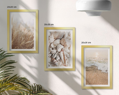Gallery wall Strandmotieven met schelpen en zeegolven