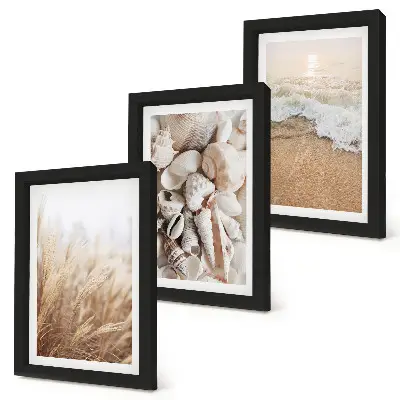 Gallery wall met strandmotieven van schelpen en zeegolven