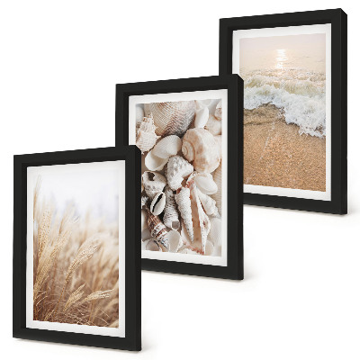 Gallery wall Strandmotieven met schelpen en zeegolven