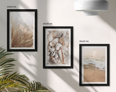 Gallery wall Strandmotieven met schelpen en zeegolven