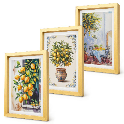 Set van ingelijste schilderijen Citroenbomen en -fruit in een zonnige omgeving
