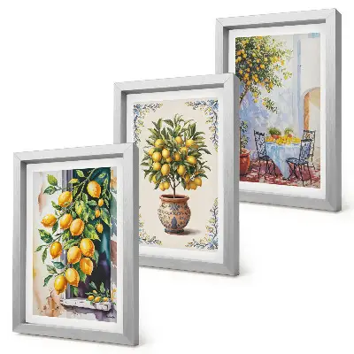 Set ingelijste schilderijen met citroenbomen en -fruit in een zonnige omgeving