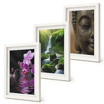 Set ingelijste schilderijen met bloemen in het water, waterval met groene rotsen en een Boeddha