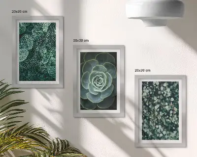 Set van ingelijste schilderijen met groene bladeren van vetplanten en tere takjes