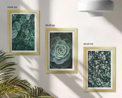 Set van ingelijste schilderijen met groene bladeren van vetplanten en tere takjes